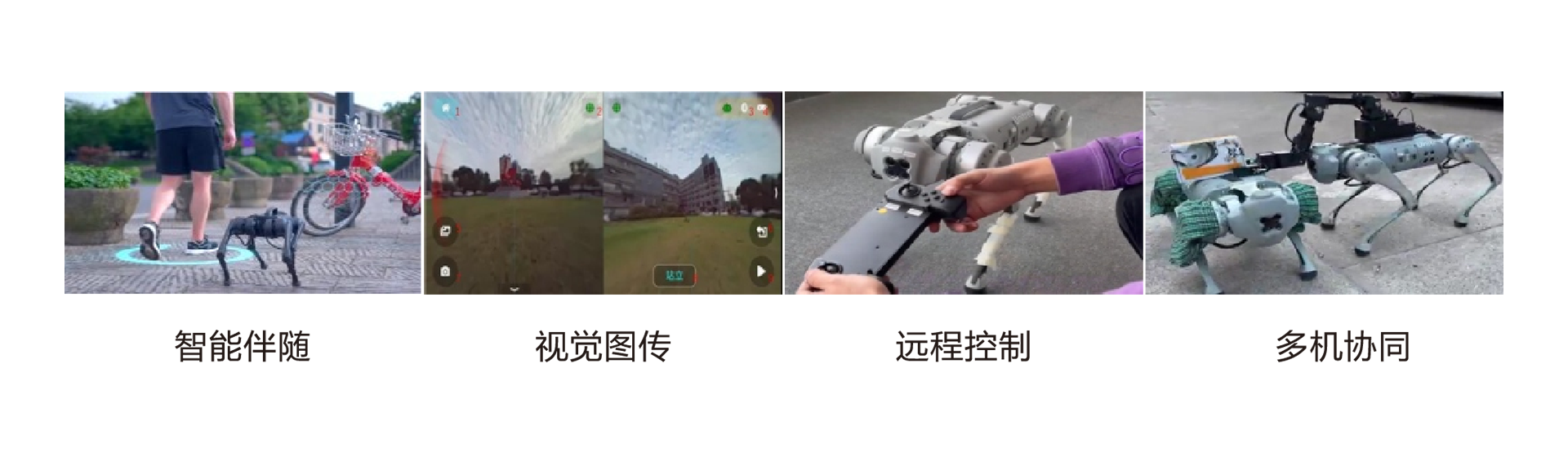 产品中心-金牛座.png